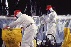 2 workers using asbestos glove bags