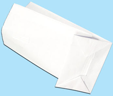 Leak Proof Paper Bag