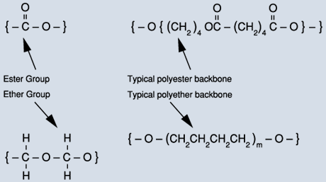 molecule diagram with words ester group, typical polyester backbone